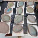 판 유치원 | 유치원 방과후 수업, 나뭇잎 접시 만들기 체험 후기 – 자연과 함께하는 특별한 시간