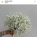 신자;꽃party