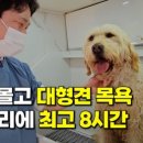 멍빨DAY 이미지