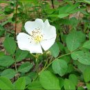 송강농장 이미지