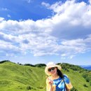 민둥산 초보등산러 다녀온 후기 | 서울에서 몇시출발? | 주변먹거리 | 당일치기