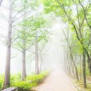 경상북도수목원 이미지