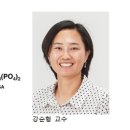 태양빛