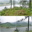 팔각정옆(7번) 이미지