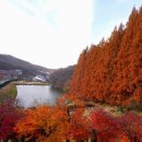 명수목장 네이버블로그