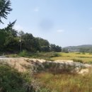 대한행정사 호남사무소 이미지