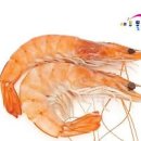 종류별 새우 한마리 칼로리 콜레스테롤 칵테일새우 영양성분 이미지