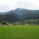 냇강쉼터 이미지