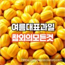 여름 대표 과일, 참외의 모든 것! 역사, 효능, 요리 활용법까지