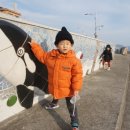 바닷속고기왕국 이미지