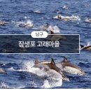 장생포고래로L 이미지