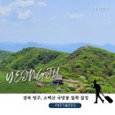 영주 가볼만한 곳 추천 소백산 국망봉 등산코스 철쭉꽃 절정 철쭉제 봉바위 전설까지