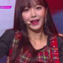네이쳐 뮤직(Nature music) 이미지