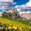 동서울카써비스 이미지