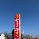 강원메밀국수 | 양양 수요미식회 블루리본 맛집 영광정메밀국수 후기