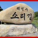 제85차 7월17일 합천 가야산 해인사 소리길 트래킹 산행안내 이미지