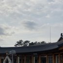 마치미마을협동조합 | 주말 부여 여행 필수 코스! 부여 롯데아울렛 주차, 영업시간 및 아울렛 쇼핑 대만족 후기