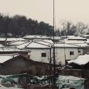 개와 집사의 시간 이미지