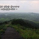 성읍리-19 이미지