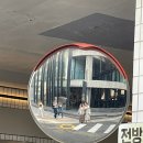 수인생샷치킨&보쌈 | [박만배 아리랑 보쌈] 연희동 가브리살 보쌈 인생 맛집 추천