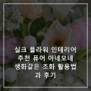 실크 플라워 인테리어 추천 퓨어 아네모네 생화같은 조화 활용법과 후기