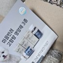 강아지와 고양이(Dog & Cat) | [DOG&amp;CAT] 마음반려 고함량 눈 영양제 1 Set 리뷰 🐶🐱