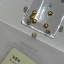 미소셀프주유소 | 25.11 주비집사 건강검진 나고야,속초여행 배부른 일상