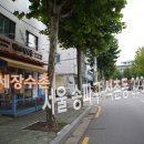 백세장수촌 - 성남시 분당구 | 백세장수촌