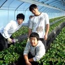 벌말농원 이미지