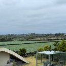 일출스테이 이미지