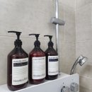 디오션스테이연동제주 이미지