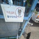 킹디씨마트