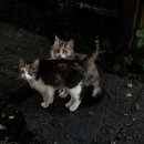 프레쉬랩 이미지