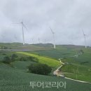 (해설이있는)힐링영화 투어코리아