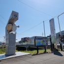 청용마을 | 창원마산 진동청용횟집 4~5월제철 딱새 갯가재 미더덕회 미더덕덮밥