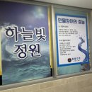 메타로폴리스로 네이버블로그
