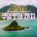 섬푸드모아 이미지
