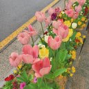 마음애정원