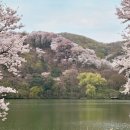 호암중앙2로 이미지