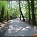 용흥사진입로 이미지