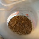 참한우명가 이미지