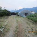 하늘농장5 이미지