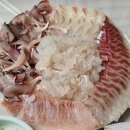 동방횟집 | 진해 칼맛맛집 동방횟집 모둠회 후기 9개월아기랑