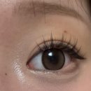 이오티디(EOTD)