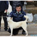 비상초등학교 이미지