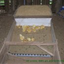 자연부화장 이미지