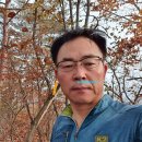 대사마을경로당 | 계명지맥 제1구간 분기점에서 신매고개까지 산행후기