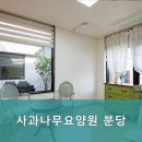 사과나무요양원 분당