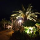 팜밸리리조트 이미지