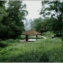 아차산공원 티스토리